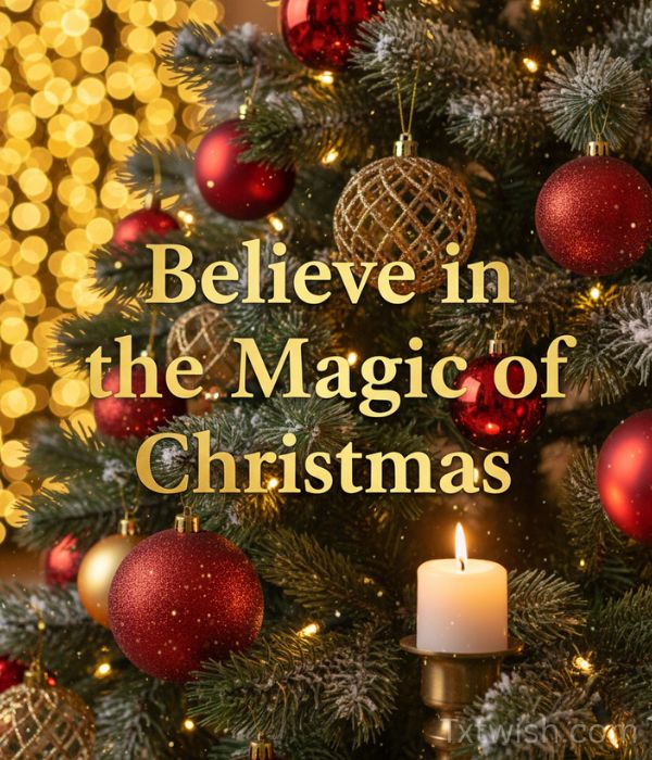 Believe in the Magic of Christmas