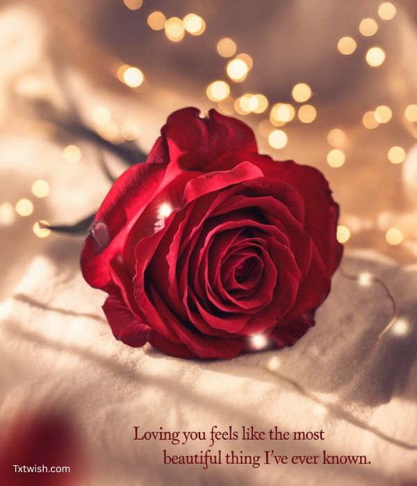 Romantic Rose Quote Image for Husband