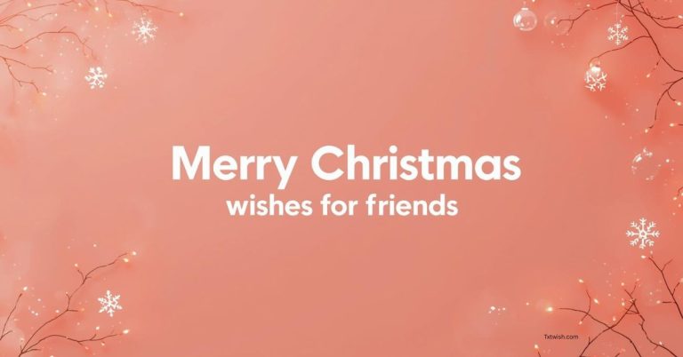 Soft Christmas-themed background with ornaments and snowflakes displaying the text ‘Merry Christmas Wishes for Friends’.