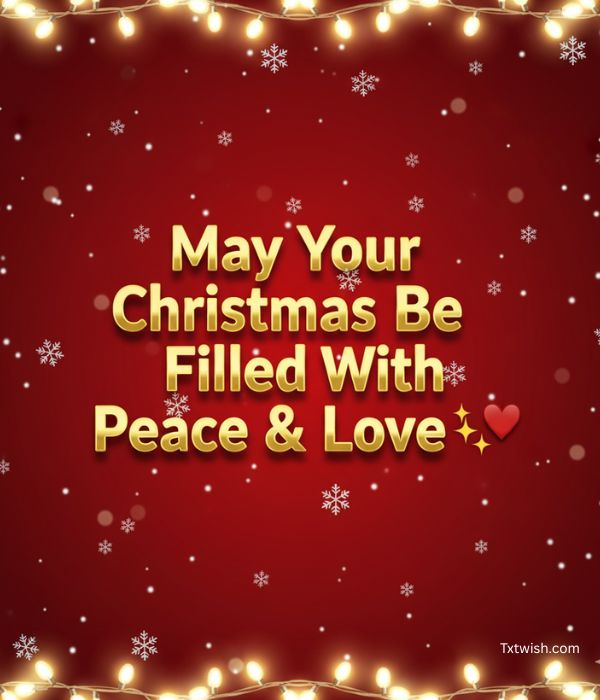 A beautiful red gradient background with falling snow and a border of glowing Christmas lights, prominently featuring the golden text 'May Your Christmas Be Filled With Peace & Love' for holiday cheer."