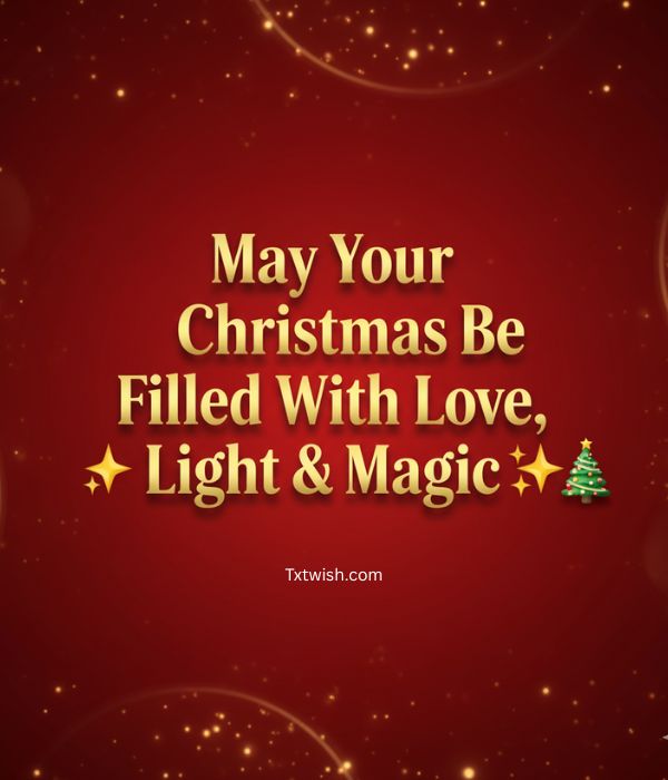 “May Your Christmas Be Filled With Love, Light & Magic ✨🎄”