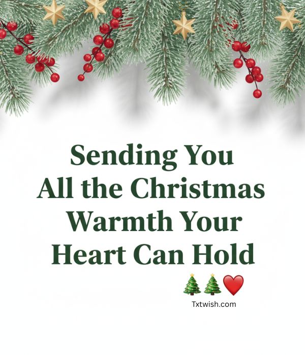 “Sending You All the Christmas Warmth Your Heart Can Hold 🎄❤️”