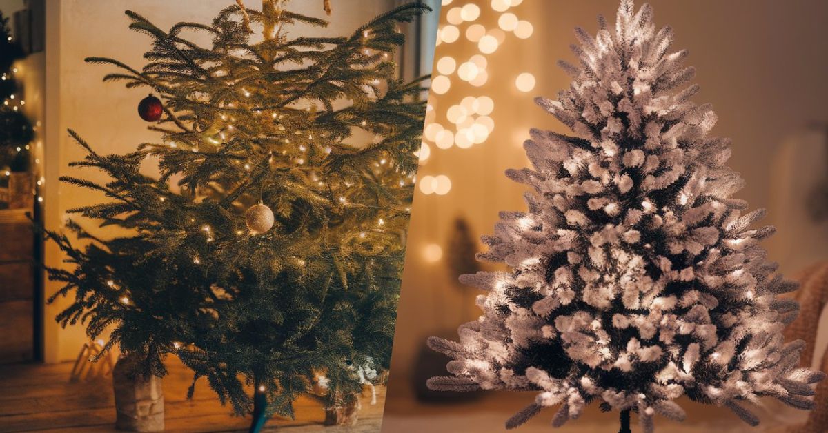 A split-scene Christmas image showing a real Christmas tree on one side and an artificial Christmas tree on the other, decorated with lights and ornaments, representing a comparison for the article Christmas Tree Ideas: Real vs Artificial 2025.