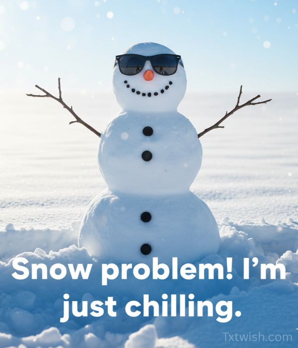 Funny Short Winter Quotes About Snow 2026 2 Funny Short Winter Quotes