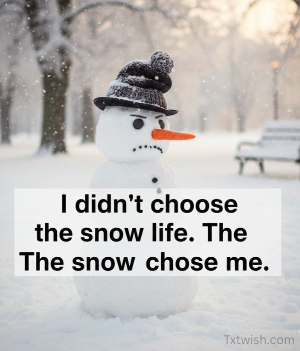 Funny Short Winter Quotes About Snow 2026 3 FUNNY SNOWFLAKE QUOTES
