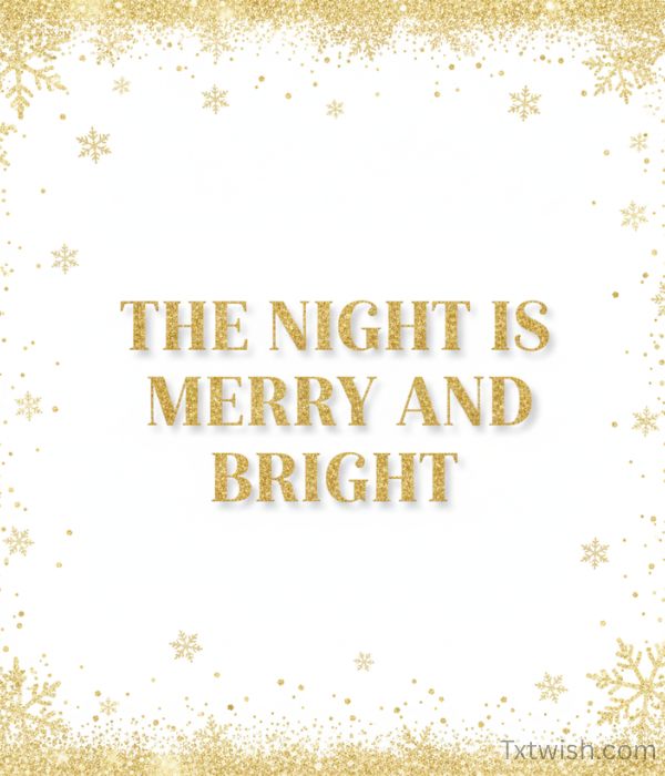 The Night is Merry And Bright