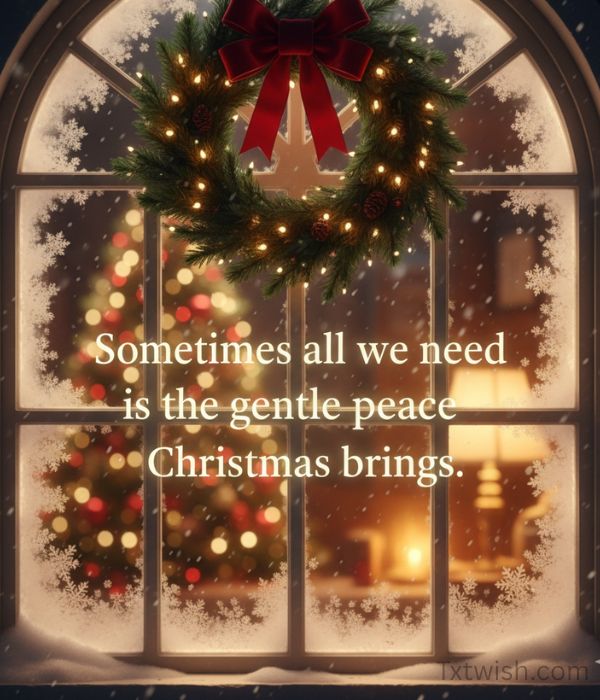 “Sometimes all we need is the gentle peace Christmas brings.”
