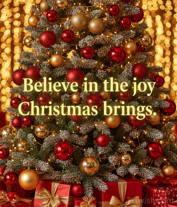 ‘Believe in the joy Christmas brings