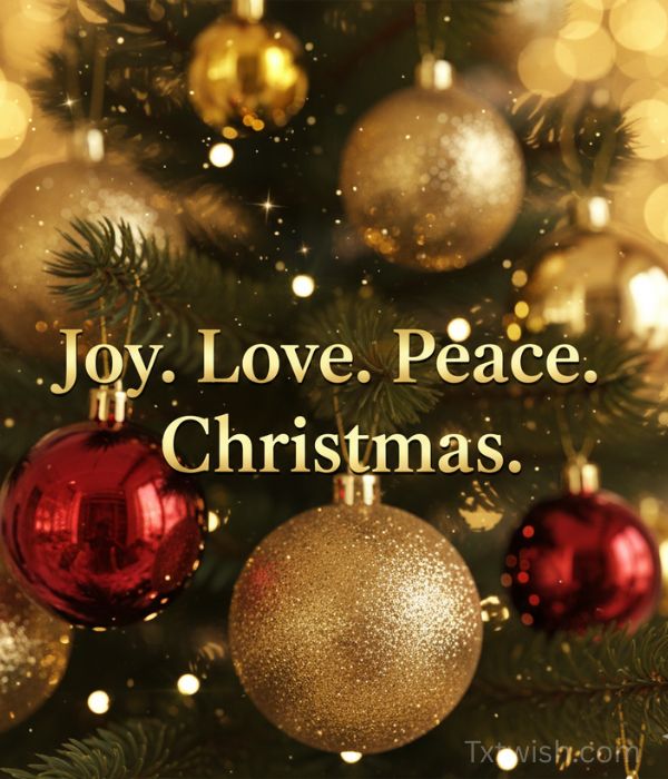 Joy. Love. Peace. Christmas.