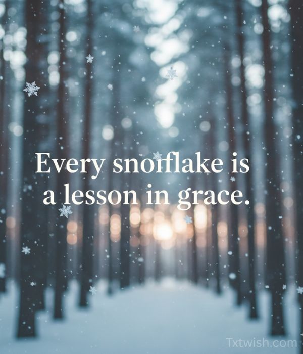 Every snowflake is a lesson in grace