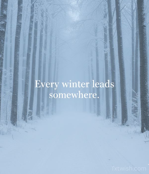 Winter Quotes