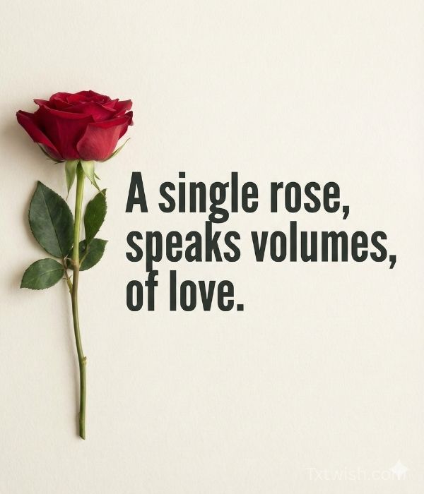 Funny Rose Day Wishes for Friends