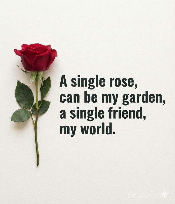 Rose Day Wishes for Work Friends & Colleagues