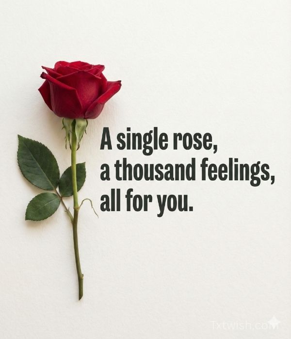 Rose Day Wishes for Friends Who Feel Like Family