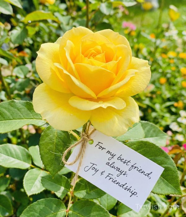 Rose Day Quotes for Girlfriend