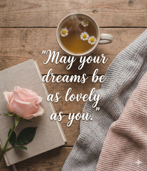 Good Night Messages for Her That Touch the Heart 3 Good Night and Sweet Dreams Messages for Her