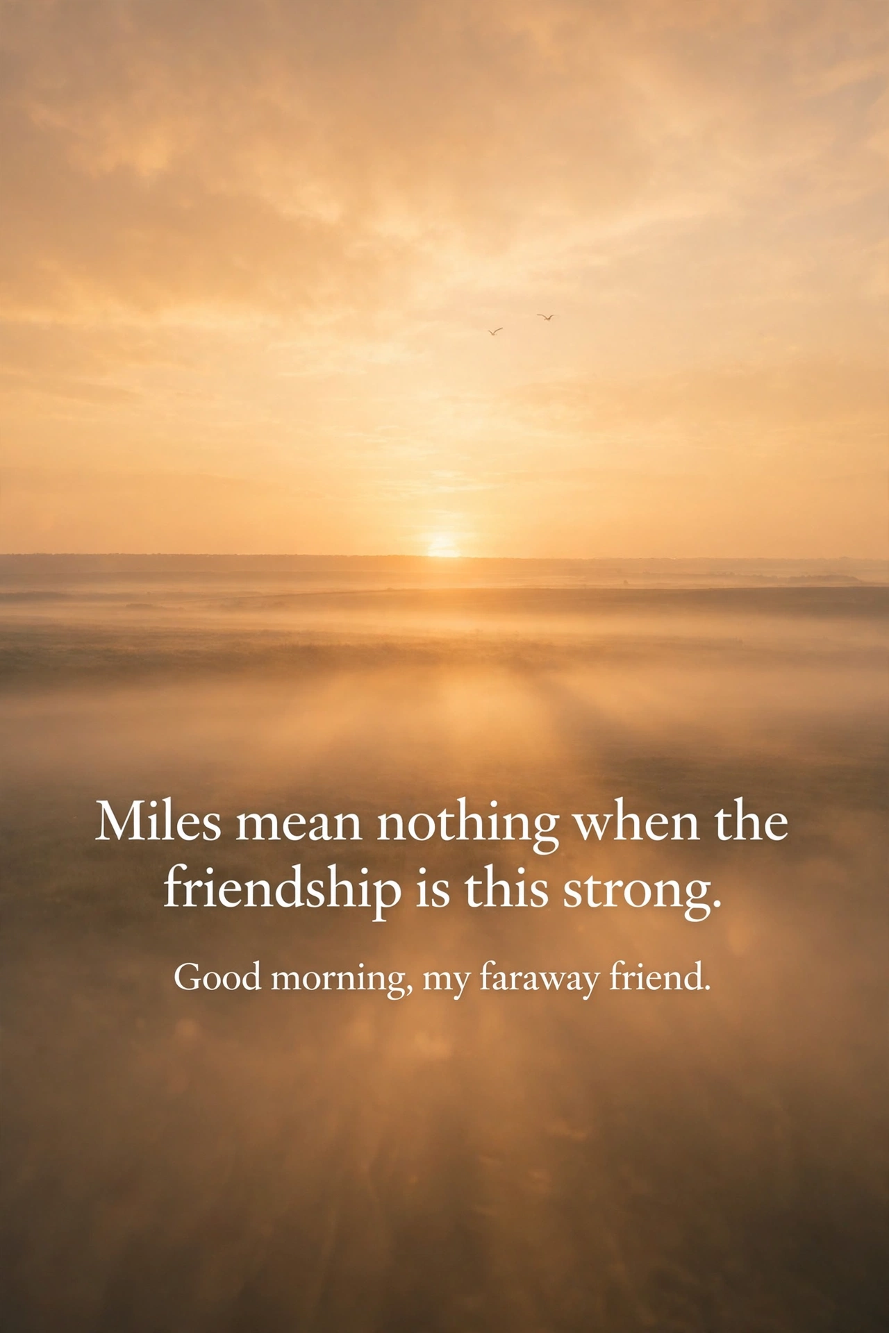 120+ Good Morning Wishes for Best Friend: Heartfelt, Funny & Inspiring Texts 6 Good morning wishes for long distance best friend quote card with sunrise over horizon