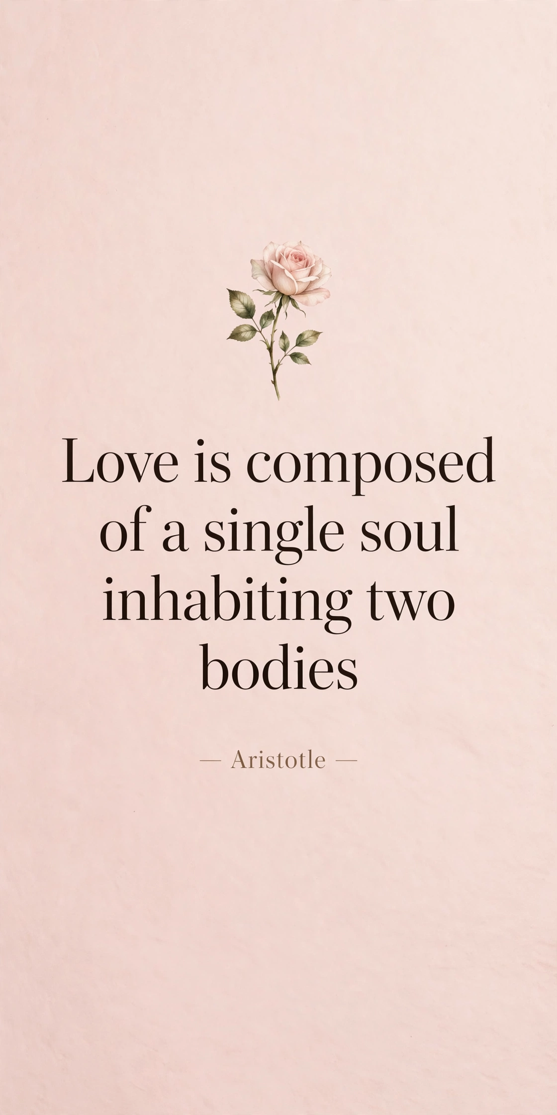 118 Love Quotes: Romantic, Famous & Verified Attributions 5 Short love quotes card with minimalist elegant design