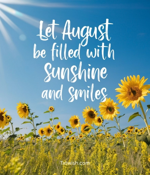 Best 100+ Short August Quotes and Messages 4 August Morning Quotes